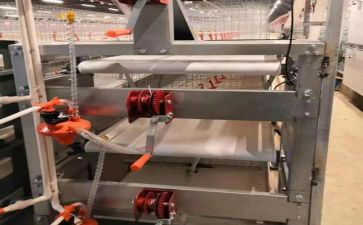 代养殖合同优质8篇