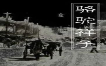 我优秀的样子作文8篇