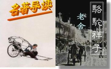 你的样子作文6篇