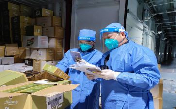 检验员工作个人总结模板6篇