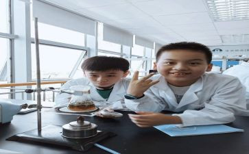 试验室试验员个人总结6篇