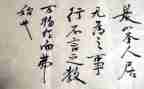 言与行作文800字7篇