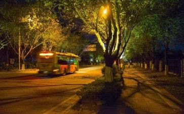 夜啤酒活动方案7篇