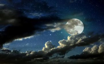 夜晚也美丽作文7篇