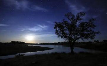 我夏天的夜晚作文5篇
