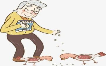爷爷的爱300字作文5篇