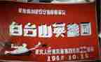 英雄有我作文6篇