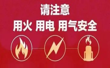 用电脑的作文参考5篇