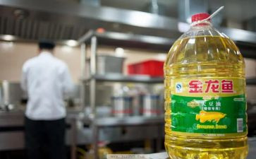 水和油的教学反思6篇