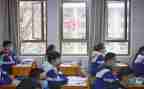 幼儿园优质课活动方案7篇