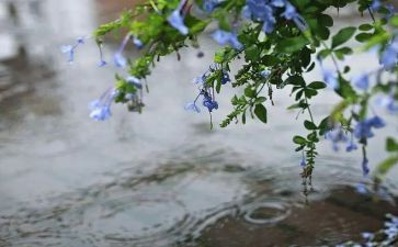 风和雨教学反思最新6篇