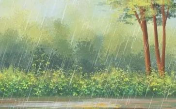 中班语言雨教学反思6篇