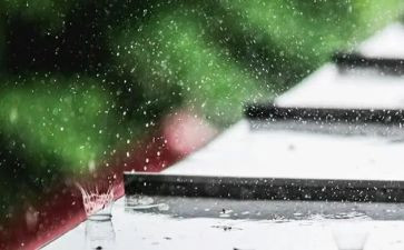 语言彩色的雨教案5篇