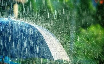 小学四年级写下雨的作文8篇