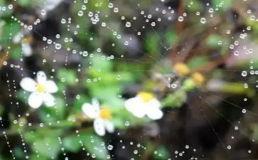 风和雨教学反思推荐6篇