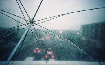 暴雨教案7篇