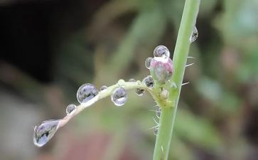 风和雨教学反思优质8篇