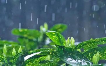 一年级下册要下雨了教案6篇