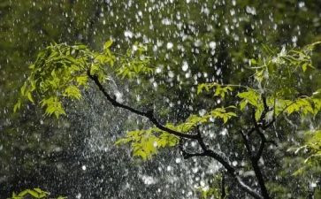 小学二年级下雨的作文8篇