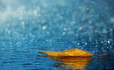 雨的教学反思优质7篇