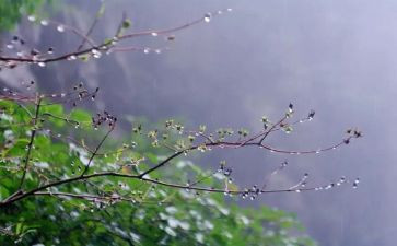 雨点儿教学反思6篇
