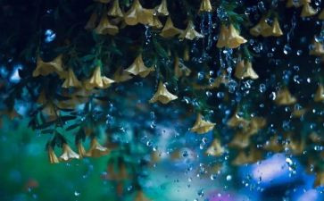 下雨诗教案模板5篇