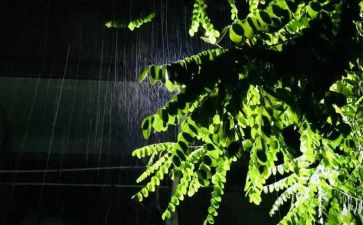 对雨的感受作文6篇