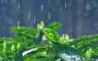 雨水节气的教案8篇