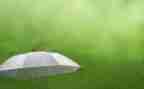 风和雨教学反思推荐8篇