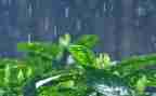 一年级下册要下雨了教案6篇