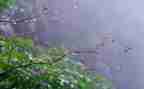 写秋雨的作文参考6篇