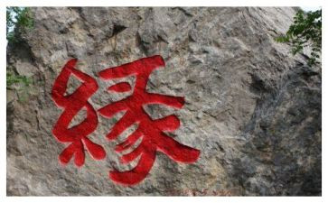 缘缘随笔堂读后感6篇