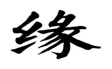 我和书的缘作文最新6篇