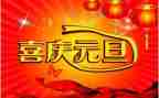 坏元旦的作文优秀8篇
