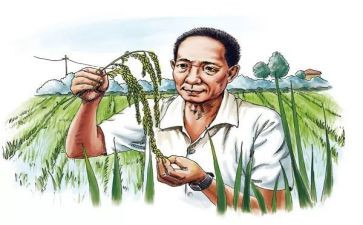 袁隆平传的感悟与心得7篇