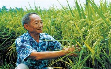 讲袁隆平的作文最新6篇
