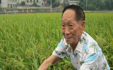 想对袁隆平说作文优秀5篇