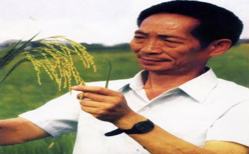 讲袁隆平的作文推荐6篇