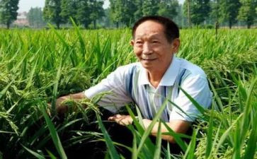 想对袁隆平说作文推荐7篇