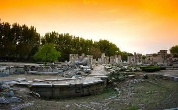 烧圆明园读后感精选5篇