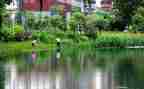 雨后作文300字7篇