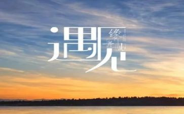 我遇见的他作文6篇
