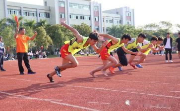 观北京奥运会心得体会7篇