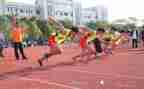 观北京奥运会心得体会7篇