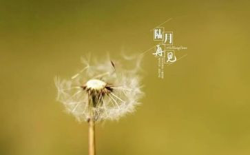 与朋友再见时作文6篇