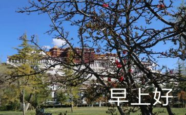 大班早读书教案8篇