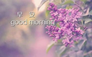 早班会演讲稿参考6篇