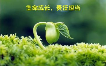 小学责任作文最新5篇