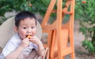 幼儿摘果子教案6篇
