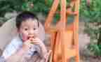 幼儿摘果子教案6篇